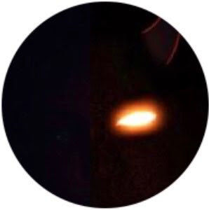 Meet your Posher, Joseph